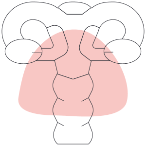 patologia-uterina-icono
